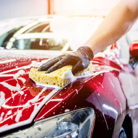 how to
                    maintain your car's or bike's paint